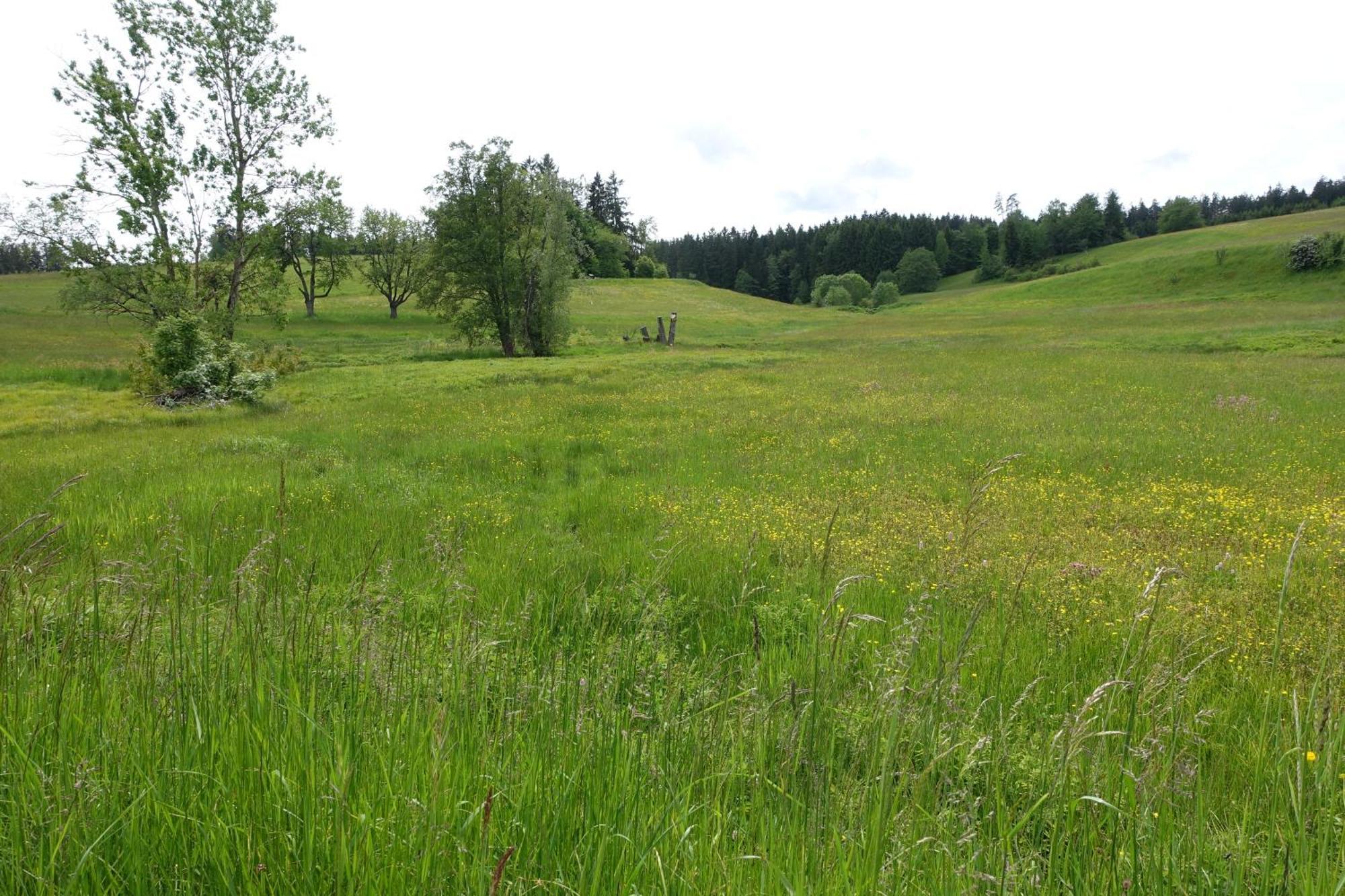 Blick In Den Garten Holzschlag 外观 照片